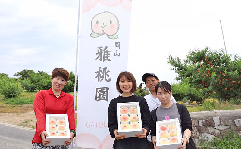 桃 2026年 先行予約 ご家庭用 岡山 白桃 5玉～9玉 2.0kg 前後 もも 岡山県産 国産 フルーツ 果物 雅桃園