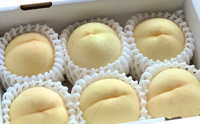 固めの桃 2026年 先行予約 ご家庭用 岡山 の 白桃 （晩生種）約1.3kg 4～6玉 岡山県 フルーツ もも 桃 モモ ピーチ 人気 新鮮 フルーツ 桃 もも 桃 モモ 訳あり くだもの 桃 もも 果物 フルーツ 桃 もも