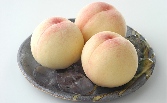 フルーツ 2026年 岡山のフルーツ 食べ切り 定期便 白桃 3玉 合計約800g／シャイン マスカット 1房 約500g もも 葡萄 ブドウ 岡山県産 フルーツ シャインマスカット 桃 果物 旬 定期便