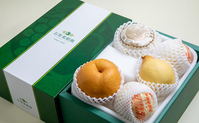 梨 2025年 先行予約 あたご梨・鴨梨（ヤーリー）詰合せ 合計約3kg あたご2～3玉 鴨梨3～4玉 贈答箱【11月下旬～12月中旬頃発送】  ナシ なし 岡山県産 国産 フルーツ 果物 ギフト 石原果樹園