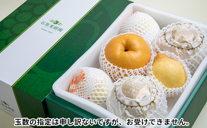 梨 2025年 先行予約 あたご梨・鴨梨（ヤーリー）詰合せ 合計約4.5kg あたご2～3玉 鴨梨3～6玉 贈答箱【11月下旬～12月中旬頃発送】  ナシ なし 岡山県産 国産 フルーツ 果物 ギフト 石原果樹園