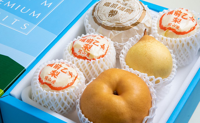 梨 2025年 先行予約 備前横綱梨（あたご梨） 2玉（1玉1～1.4kg）・備前乙女梨（鴨梨） 4～6玉 詰合せ 合計約4.0kg【11月下旬～12月中旬頃発送】  岡山県産 フルーツ ギフト 石原果樹園