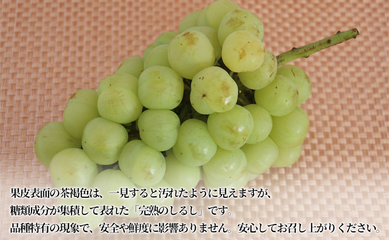 【2026年先行予約】 ぶどう 岡山県産 たたらみねらる シャインマスカット & 瀬戸ジャイアンツ 食べ比べセット 各1房(1房約650g) 《2026年9月中旬-10月中旬頃出荷》 ブドウ フルーツ 果物 数量限定