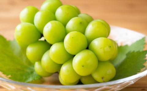 【2026年先行予約】 ぶどう 岡山県産 シャインマスカット 晴王 厳選 1房 約700g 大房 岡山県 倉敷市 船穂産 《2026年9月上旬-10月上旬頃出荷》 葡萄 ブドウ フルーツ 果物 数量限定 期間限定 里庄町