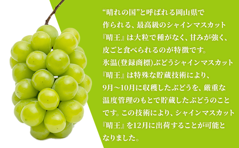 ぶどう 2025年 先行予約 3回お届け！  晴れの国 岡山の シャイン マスカット  晴王 ×3回！（各1房） 葡萄  岡山県産 国産 フルーツ 果物 ギフト