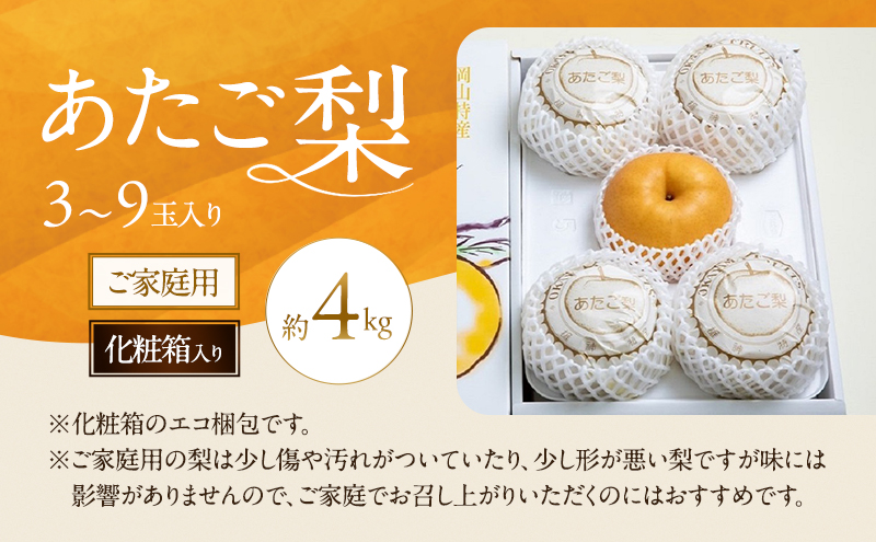 梨 2026年 先行予約 ご家庭用 あたご梨 3～9玉入り約4kg 化粧箱【11月下旬～12月中旬頃発送】 ナシ なし 岡山県産 国産 フルーツ 果物 石原果樹園