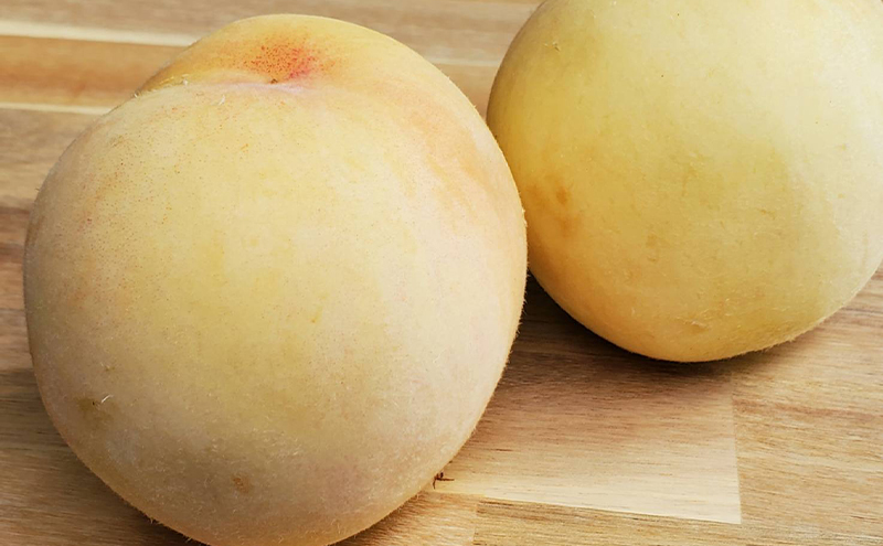 【2026年先行予約】桃 ぶどう 岡山県産 清水白桃（6個・約1kg）と シャインマスカット （2房・約1kg） 詰合せ セット 《2026年7月下旬-8月中旬頃出荷》 もも モモ 葡萄 ブドウ フルーツ 果物 数量限定