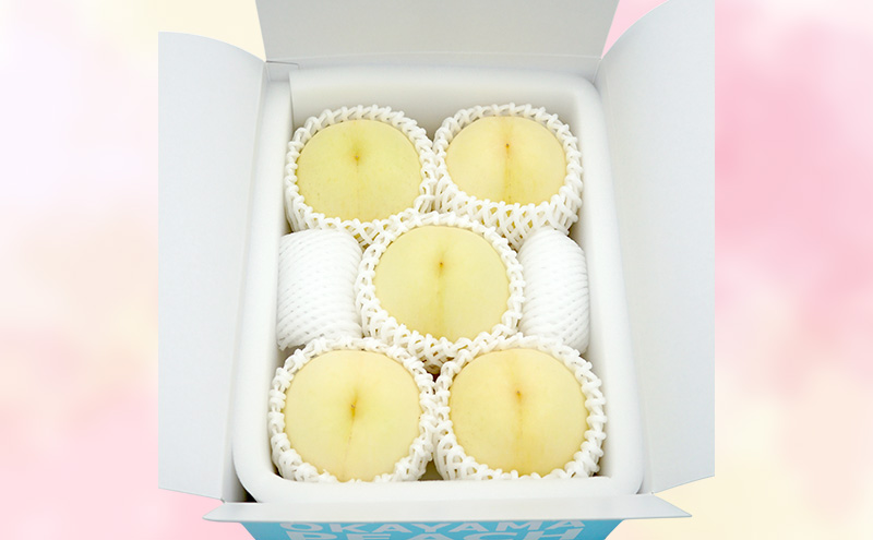 もも 2026年 先行予約 【ご家庭用】 岡山白桃 エース (晩生) 4～5玉 約1.2kg  (8月中旬～8月下旬出荷予定)