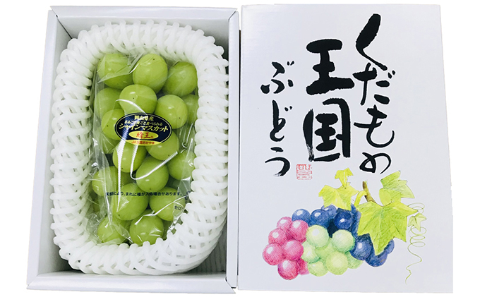 【2026年先行予約】 桃 シャインマスカット 晴れの国 旬 の フルーツ 定期便 2回 コース ( 白桃 ・ シャイン ）《2026年7月上旬-10月上旬頃出荷》 もも モモ 葡萄 ブドウ 岡山 里庄 数量限定