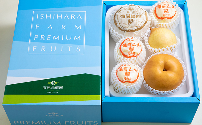 梨 2025年 先行予約 備前横綱梨（あたご梨） 2玉（1玉1～1.4kg）・備前乙女梨（鴨梨） 4～6玉 詰合せ 合計約4.0kg【11月下旬～12月中旬頃発送】  岡山県産 フルーツ ギフト 石原果樹園