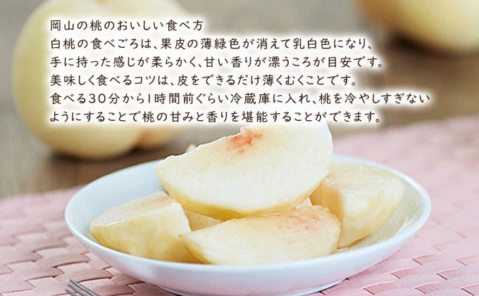 桃 【 2026年 先行予約】 岡山県産 白鳳 （ 白桃 ） 約2kg（6～7玉） 《2026年7月上旬～中旬頃出荷》 白桃 岡山 はくとう フルーツ 果物 先行予約 数量限定 期間限定 里庄町 モモ もも