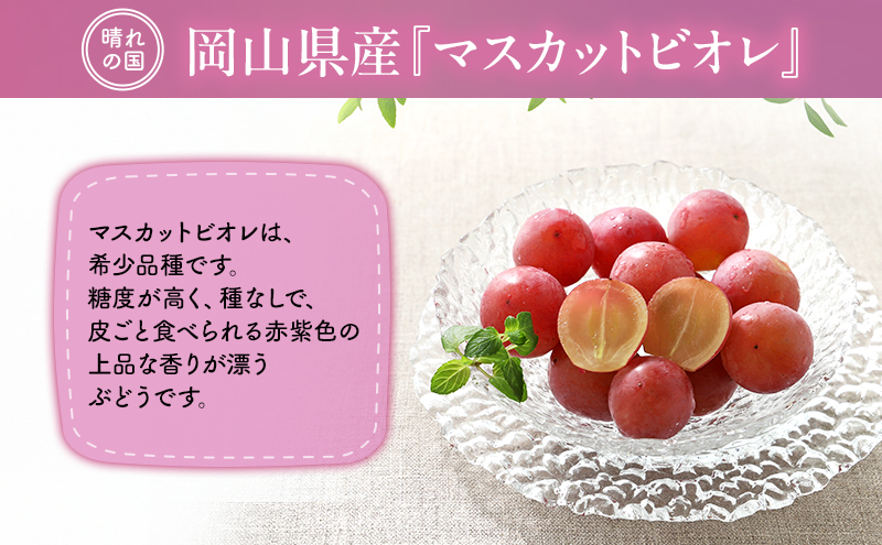【2026年先行予約】 ぶどう 岡山県産 皮ごと 食べられる マスカット ビオレ 種無し 約2kg （3～5房） 《2026年9月下旬-10月下旬頃出荷》 葡萄 ブドウ フルーツ 果物 数量限定 期間限定 岡山 里庄町