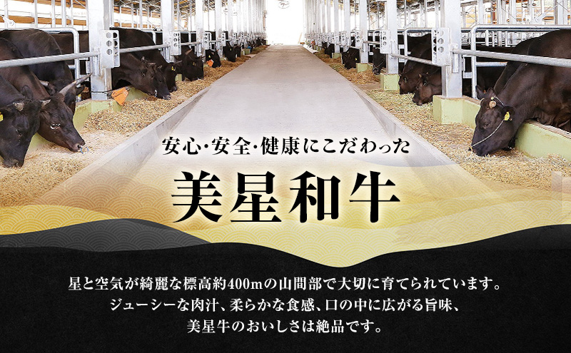 美星和牛 サーロインステーキ 約400g（約200g×2枚） 牛肉 岡山県 里庄町 送料無料