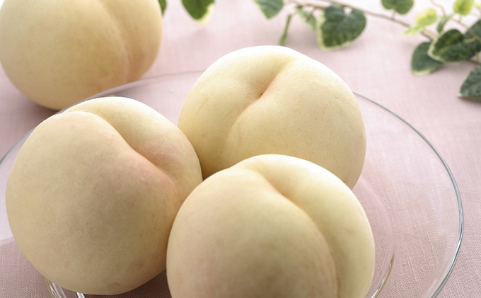 【2026年先行予約】 桃 シャインマスカット 晴れの国 旬のフルーツ 定期便 3回 コース ( シャイン ・ 白桃 ・ シャイン ）《2026年6月中旬-10月上旬頃出荷》 もも モモ 葡萄 ブドウ 岡山 里庄 数量限定