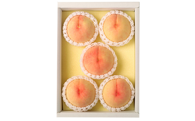 桃 2026年 先行予約 岡山 白桃（品種：白鳳／加納岩白桃）5～7玉 合計1.5kg以上 もも モモ 岡山県産 国産 フルーツ 果物 ギフト 環山堂 果皮が薄い 上品 甘み 贈り物 果実 柔らかい 多汁