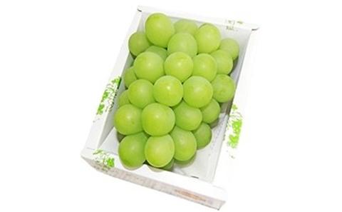 【2026年先行予約】 ぶどう 岡山県産 マスカット ・オブ・ アレキサンドリア 厳選 1房 約700g 大房 岡山県 倉敷市 船穂産 《2026年7月中旬-下旬頃出荷》 葡萄 ブドウ フルーツ 果物 数量限定 里庄町