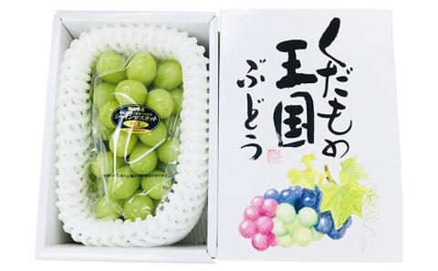 【2026年先行予約】 ぶどう 岡山県産 シャインマスカット 晴王 厳選 1房 約700g 大房 岡山県 倉敷市 船穂産 《2026年9月上旬-10月上旬頃出荷》 葡萄 ブドウ フルーツ 果物 数量限定 期間限定 里庄町