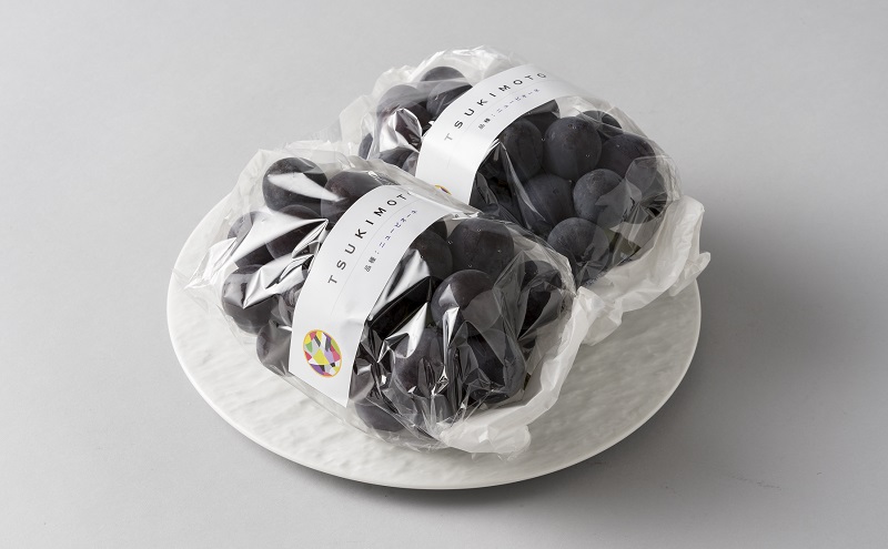 【定期便】【2026年先行予約】 ぶどう 岡山県産 ニューピオーネ ・ クイーンニーナ 1kg箱（各2～3房） 定期便 2回 《2026年8月下旬-9月中旬頃出荷》 葡萄 ブドウ 岡山県産 フルーツ 果物 数量限定