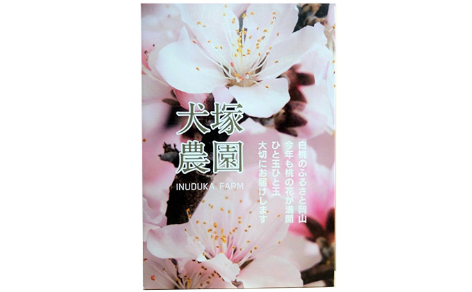 桃 2026年 先行予約 贈答用 岡山の 白桃（早生、中生種）約1.7kg 4～6玉 岡山県 フルーツ もも 桃 モモ ピーチ 人気 新鮮 フルーツ 桃 フルーツ もも 桃 ギフト くだもの 桃 もも 果物 フルーツ 桃 もも