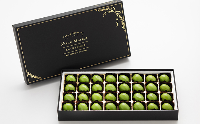 【2025年先行予約】 ぶどう 岡山県産 たたらみねらる シャインマスカット づくし 定期便 3回 《2025年9月上旬-11月下旬頃出荷》 葡萄 ブドウ フルーツ 果物 スイーツ 数量限定 期間限定 岡山 里庄町