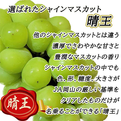 ぶどう2026年 先行予約 岡山 名産 晴王 シャイン マスカット たっぷり2kg！9月上旬以降順次発送 ギフトにも ブドウ 葡萄 岡山県産 国産 フルーツ 果物 ギフト用 贈答用 皮ごと 種なし 産地直送