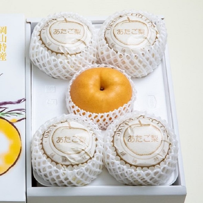 梨 2025年 先行予約 ご家庭用 あたご梨 3～9玉入り約4kg 化粧箱【11月下旬～12月中旬頃発送】  ナシ なし 岡山県産 国産 フルーツ 果物 石原果樹園