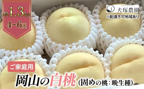 固めの桃 2026年 先行予約 ご家庭用 岡山 の 白桃 （晩生種）約1.3kg 4～6玉 岡山県 フルーツ もも 桃 モモ ピーチ 人気 新鮮 フルーツ 桃 もも 桃 モモ 訳あり くだもの 桃 もも 果物 フルーツ 桃 もも