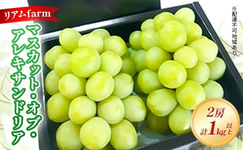 【2026年先行予約】 ぶどう 岡山県産 マスカット・オブ・アレキサンドリア 2房（計1kg以上） 《2026年7月上旬-下旬頃出荷》 葡萄 ブドウ フルーツ 果物 スイーツ 数量限定 期間限定 里庄町 リアム farm