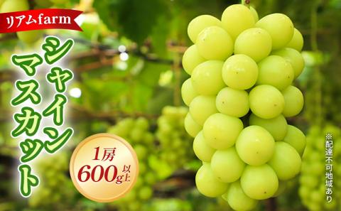 【 2026年 先行予約】 ぶどう 岡山県産 シャインマスカット 1房（600g以上） 《2026年7月下旬-8月中旬頃出荷》 葡萄 ブドウ フルーツ 果物 スイーツ 数量限定 期間限定 里庄町 リアム farm