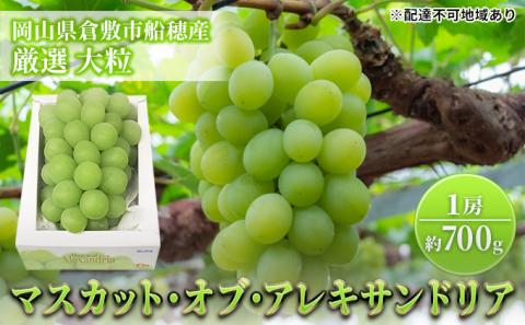 【2026年先行予約】 ぶどう 岡山県産 マスカット ・オブ・ アレキサンドリア 厳選 1房 約700g 大房 岡山県 倉敷市 船穂産 《2026年7月中旬-下旬頃出荷》 葡萄 ブドウ フルーツ 果物 数量限定 里庄町
