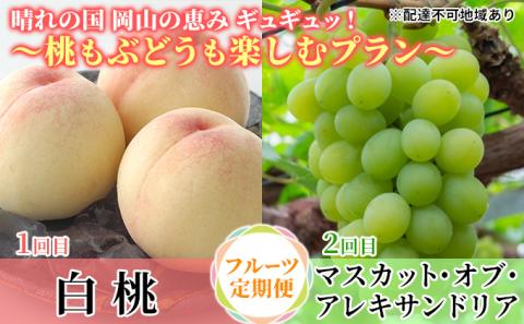 【2026年先行予約】 桃 ぶどう 晴れの国 岡山の恵みギュギュッ！ ～桃もぶどうも楽しむプラン～ ( 白桃 ・ アレキサンドリア ）《2026年6月下旬-7月下旬頃出荷》 もも モモ 葡萄 ブドウ 里庄町 数量限定