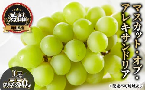 ぶどう 2026年 先行予約 マスカット・オブ・アレキサンドリア 秀品 1房約750g 化粧箱入り ブドウ 葡萄 岡山県産 国産 フルーツ 果物 ギフト 果物類