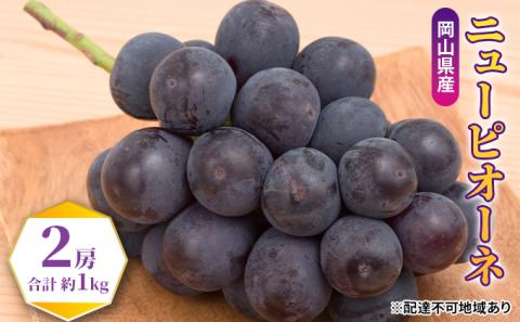 ぶどう 2026年 先行予約 ニュー ピオーネ 2房（合計約1kg） ブドウ 葡萄 岡山県産 国産 フルーツ 果物 ギフト ブドウ