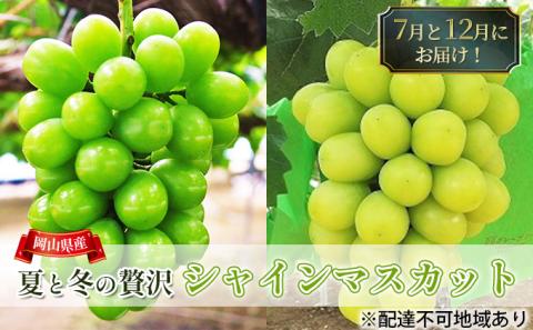 【2025年先行予約】 ぶどう 夏と冬の 贅沢 シャインマスカット 7月と12月に分けて お届け ！ 葡萄 ブドウ 岡山県産 フルーツ 果物 数量限定 期間限定 岡山 里庄町