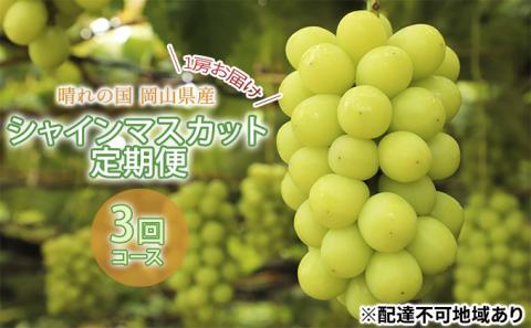 【 2025年 先行予約 】ぶどう 晴れの国 シャインマスカット 1房（700g以上） 定期便 3回 コース 《2025年9月-12月出荷》  葡萄 ブドウ 岡山県産 フルーツ 果物 数量限定 里庄町