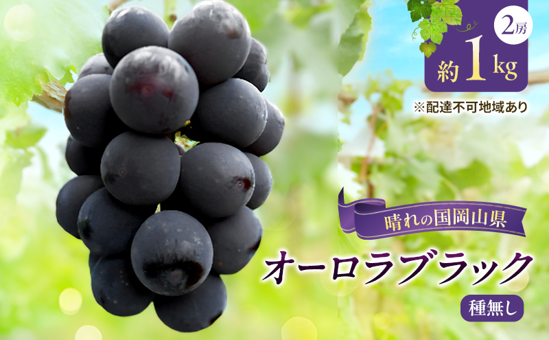 【2026年先行予約】 ぶどう 岡山県産 オーロラブラック （ 種無し ）約1kg（2房） 《2026年9月上旬-中旬頃出荷》 葡萄 ブドウ フルーツ 果物 スイーツ 数量限定 期間限定 岡山 里庄町