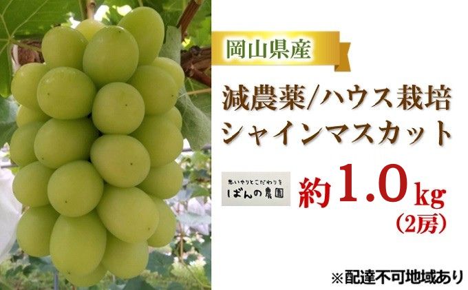 ぶどう 2026年 先行予約 シャイン マスカット 約1kg 2房 減農薬／ハウス栽培 ブドウ 葡萄 岡山県産 国産 フルーツ 果物 ギフト ばんの農園 果物類 シャインマスカット