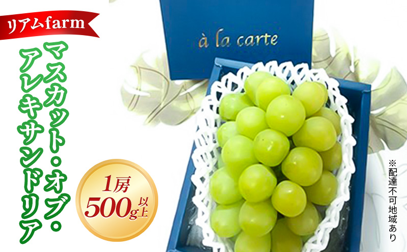 【 2026年 先行予約】 ぶどう 岡山県産 マスカット・オブ・アレキサンドリア 1房（500g以上） 《2026年7月上旬-下旬頃出荷》 葡萄 ブドウ フルーツ 果物 スイーツ 数量限定 期間限定 里庄町 リアム farm