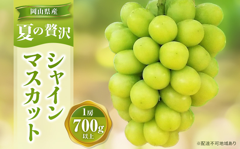 【2026年先行予約】 ぶどう 夏の贅沢 シャインマスカット 1房(700g以上) 【7月10日から7月30日までに発送】 葡萄 ブドウ 岡山県産 フルーツ 果物 数量限定 期間限定 岡山 里庄町