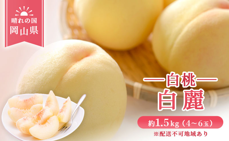【 2026年 先行予約】 桃 岡山県産 白麗 （ 白桃 ） 約1.5kg （4～6玉） 《2026年7月下旬-8月中旬頃出荷》 白桃 岡山 はくとう スイーツ フルーツ 果物 先行予約 数量限定 期間限定 岡山 里庄町 モモ もも 桃