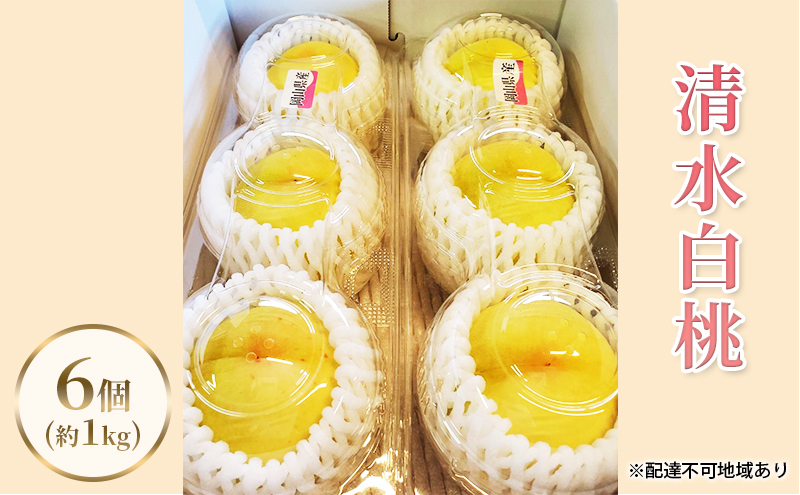 【2026年先行予約】 桃 岡山県産 清水白桃 6個（約1kg） 《2026年7月下旬-8月中旬頃出荷》 白桃 岡山 はくとう スイーツ フルーツ 果物 先行予約 数量限定 期間限定 岡山 里庄町 モモ もも 桃