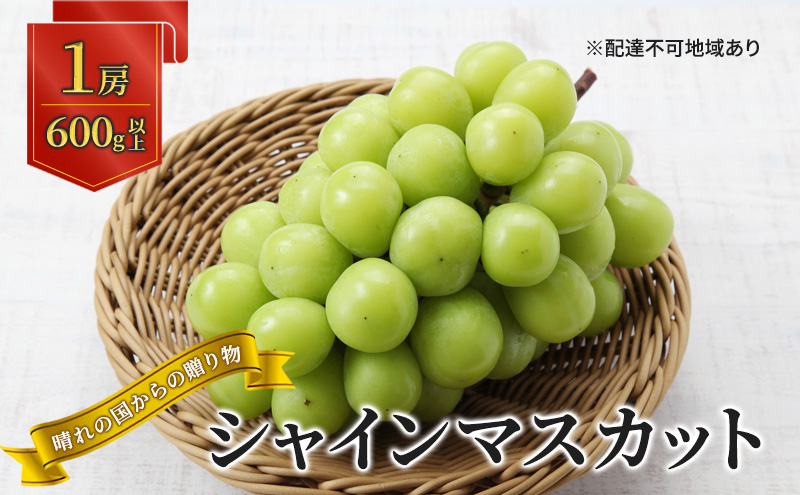 【2026年先行予約】 ぶどう 岡山県産 晴れの国からの 贈り物 シャインマスカット 1房（600g以上） 《2026年9月上旬-10月中旬頃出荷》 葡萄 ブドウ フルーツ 果物 スイーツ 数量限定 期間限定 岡山 里庄町