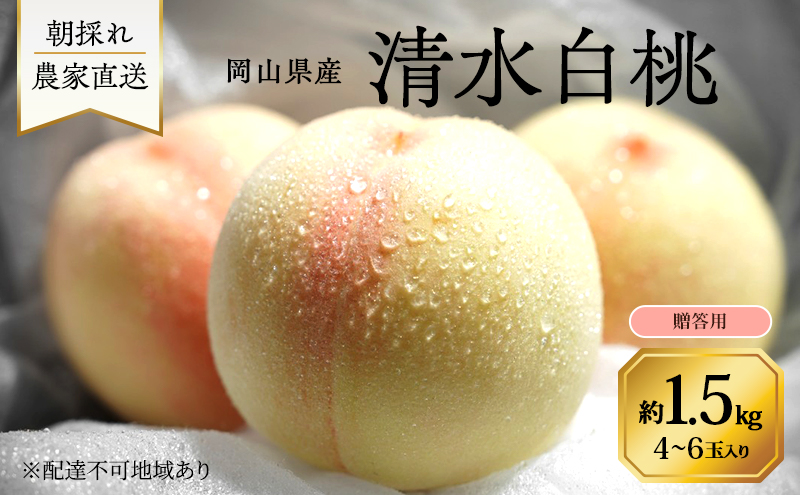 桃 2026年 先行予約 岡山県産 清水白桃 贈答用1.5kg(4～6玉) 朝採れ 農家直送 限定20箱