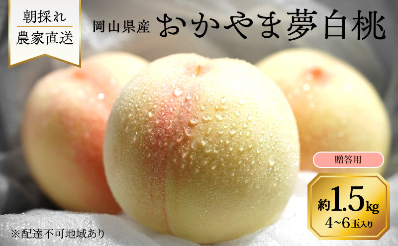 桃 2026年 先行予約 岡山県産 おかやま夢白桃 贈答用 1.5kg(4～6玉)　朝採れ　農家直送　限定20箱