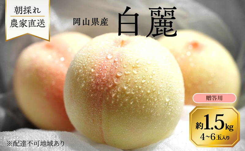 桃 2026年 先行予約 岡山県産 白麗 贈答用 1.5kg(4～6玉) 朝採れ 農家直送 限定20箱
