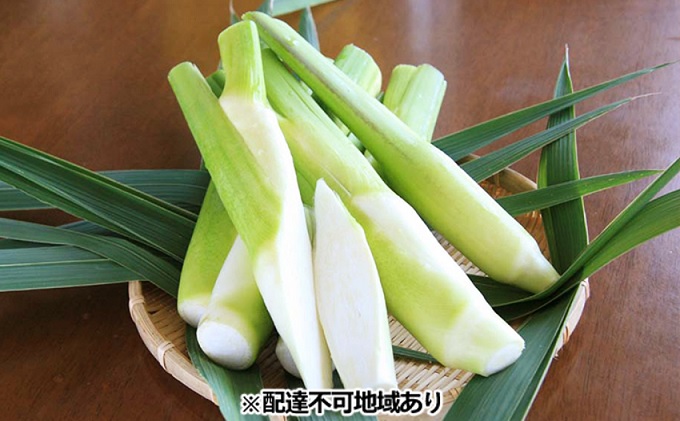 里庄 まこもたけ （3.3kg）【2025年10月上旬～2026年1月下旬出荷】 野菜 マコモダケ マコモ 中華料理 天ぷら 高級食材 送料無料 里庄町
