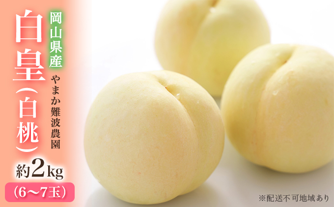 桃 【 2026年 先行予約 】 岡山県産 白皇 （ 白桃 ） 約2kg（6～7玉） 《2026年8月中旬～下旬頃出荷》 白桃 岡山 はくとう フルーツ 果物 先行予約 数量限定 期間限定 里庄町 モモ もも