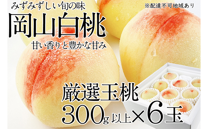 桃 2026年 先行予約 岡山の白桃 300g以上×6玉 白桃 旬 みずみずしい 晴れの国 おかやま 岡山県産 フルーツ王国 果物王国 果実 デザート 食後 産地直送 甘い 果汁 岡山の桃