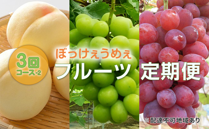 【 2026年 先行予約 】ぶどう 桃 ぼっけぇうめぇ フルーツ 定期便 3回 コース -2 ( 白桃 ・ シャインマスカット ・ 紫苑 )《2026年8月-10月出荷》 岡山県産 フルーツ 果物 数量限定 里庄町