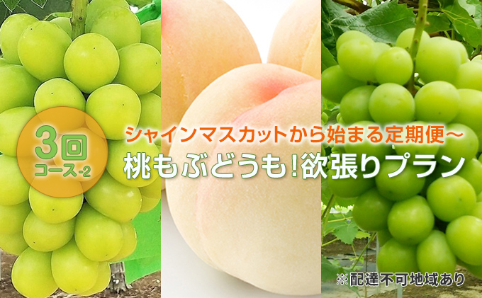 【 2026年 先行予約 】ぶどう 桃 シャインマスカット から始まる 定期便 ～ 桃もぶどうも！ 欲張り プラン 3回 コース -2 ( シャインマスカット ・ 白桃 ・シャインマスカット )《2026年7月-9月出荷》 岡山県産